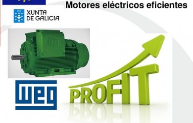 Lee más sobre el artículo Subvenciones europeas medioambientales y eficiencia energética – Motor eléctrico alta eficiencia
